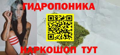 прущие грибы Кимры